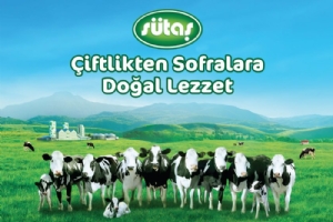 SÜTAŞ