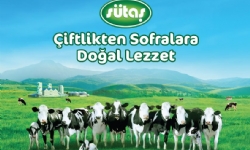 SÜTAŞ
